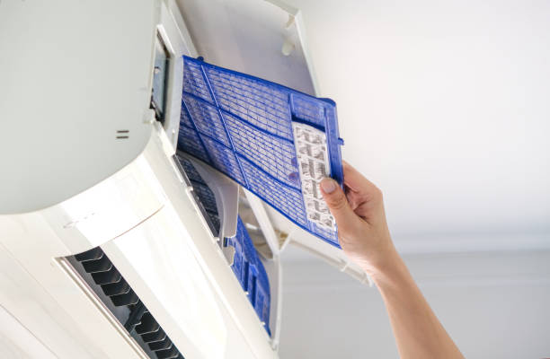 Best Air Duct Mold Removal  in Douglas, AZ