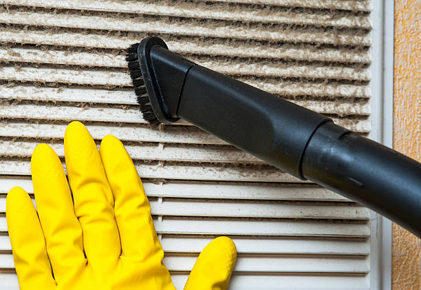 Best Affordable Air Duct Cleaning  in Douglas, AZ